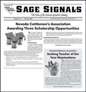 02-feb2026-ncasagesignals-image.jpg 02-feb2026-ncasagesignals-image.jpg