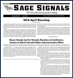 2024 - April Sage Signals image