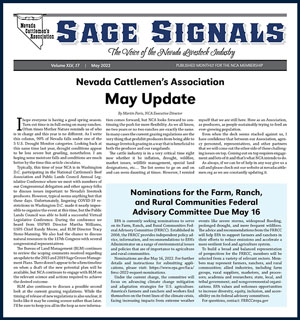 2022 - May Sage Signals image
