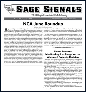 2025 - June Sage Signals image
