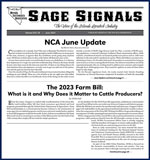 2022 - June Sage Signals Thumbnail