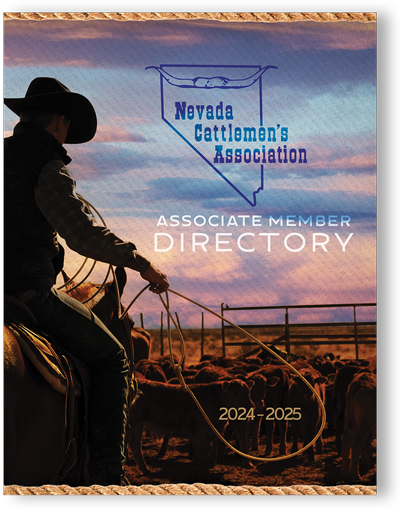 2024-25_nca-assoc-directory-coverimage.png 2024-25 Associate Member Directory image