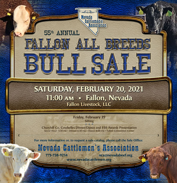 fbs-2021-ad_11-16-2020-55.jpg Fallon Bull Sale Ad 2021