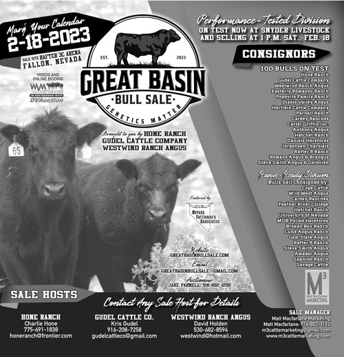 2023 Great Basin Bull Sale Ad