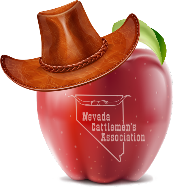 Seeking 2025 Teacher of the Year Award Nominations