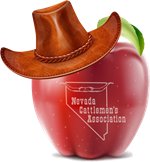 Teacher of the Year NCA Apple