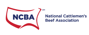 NCBA Logo