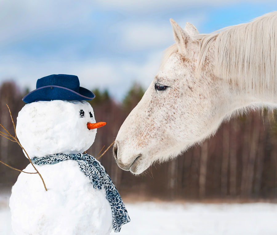 snowman-and-horse-adobestock_62793951