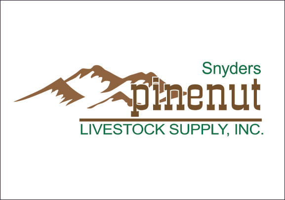 Sponsor - Snyders Pinenut